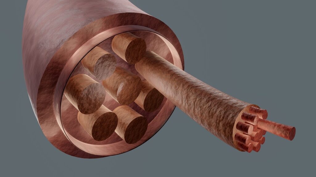 muscle section, skeletal muscle, muscle anatomy, fasciculus, muscle composition, anatomy, science, medical, skeletal muscle, skeletal muscle, skeletal muscle, skeletal muscle, skeletal muscle, muscle anatomy, muscle anatomy, muscle anatomy, muscle anatomy